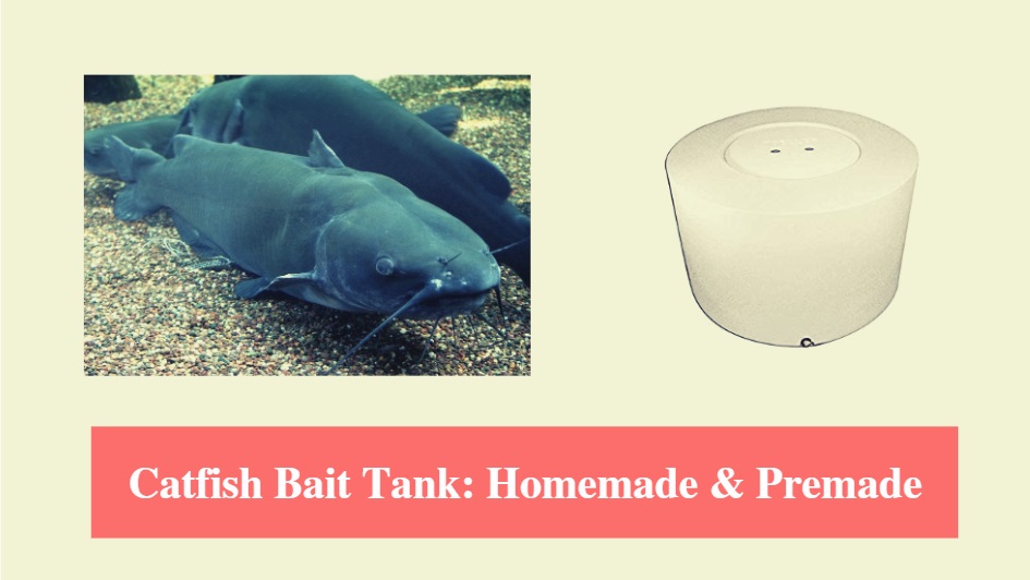 Catfish Bait Tank: Homemade and Premade (Super Bait Tanks II) -  HookedOnCatfish
