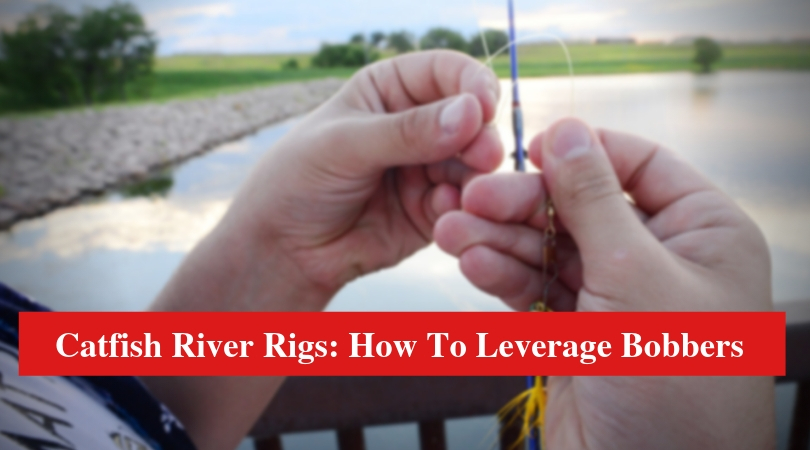 Catfish River Rigs: How To Leverage Bobbers - HookedOnCatfish