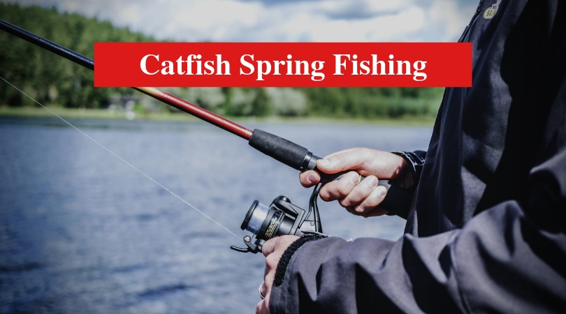 Catfish Spring Fishing