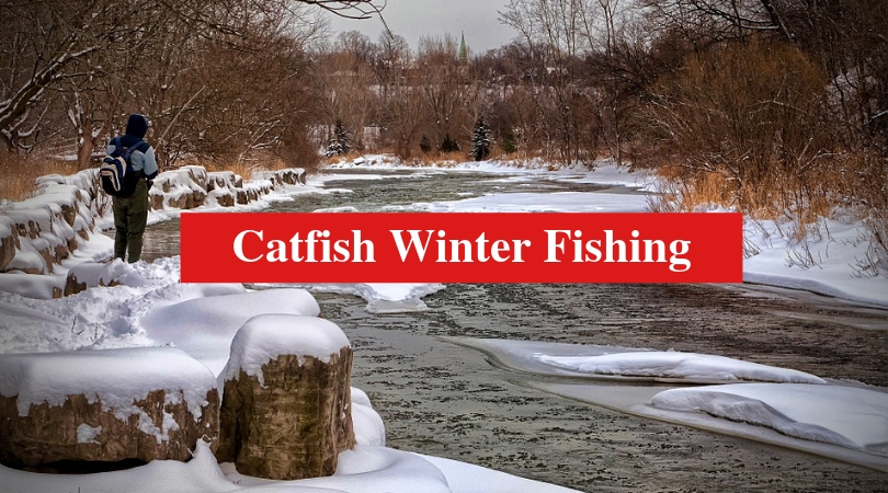Catfish Winter Fishing