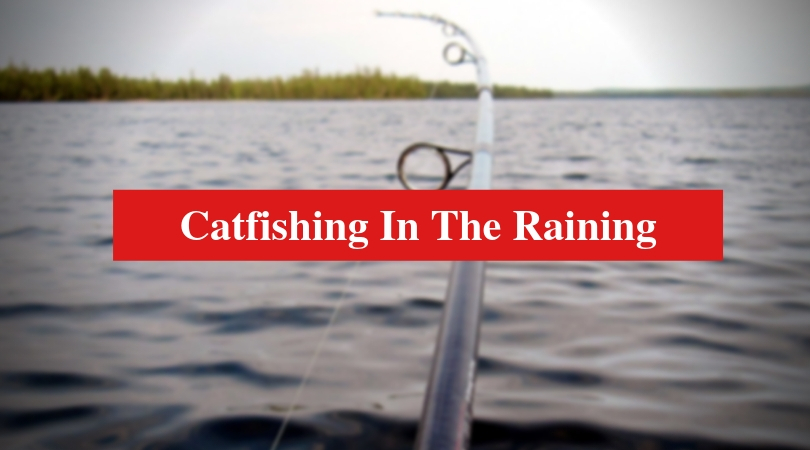 Catfishing in the Raining