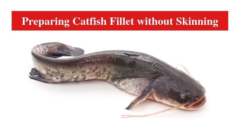 Preparing Catfish Fillet without Skinning 