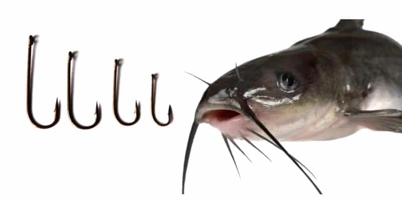 How To Determine a Catfish Hook Size - HookedOnCatfish