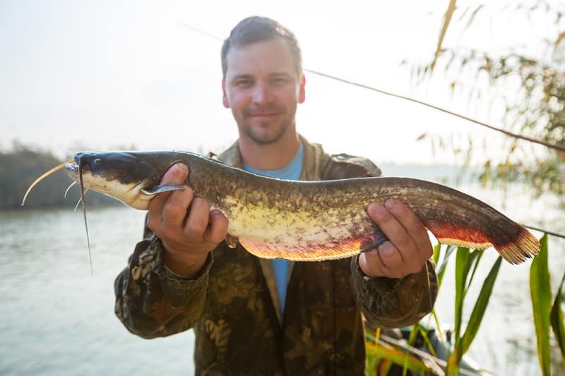 Is There a Proper Way To Hold a Catfish?
