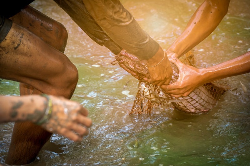 How to Throw a Cast Net for Catfish