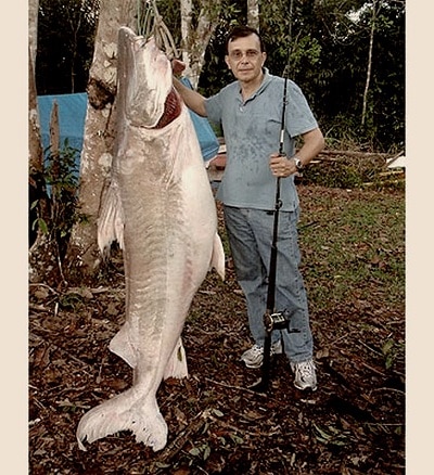 World Record Catfish A List Of The Biggest Catfish HookedOnCatfish