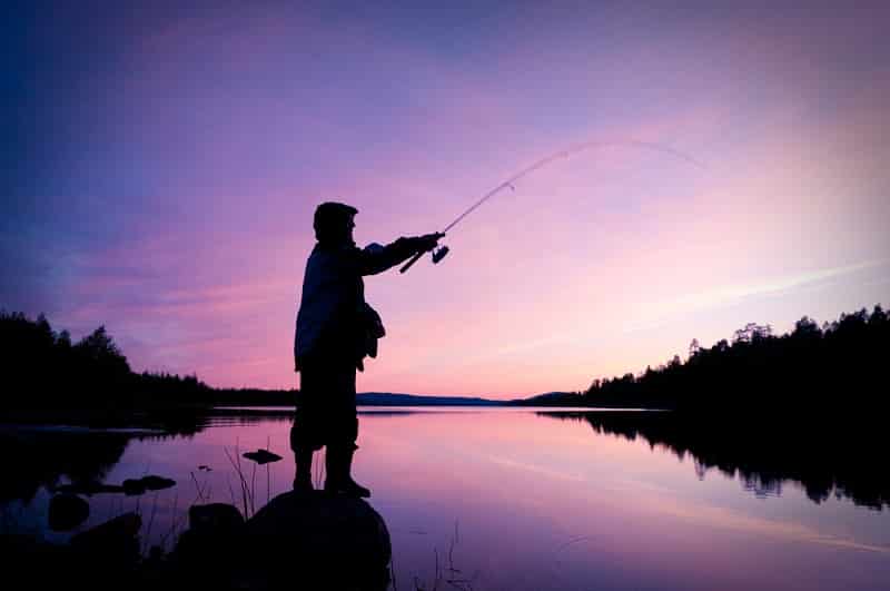 Night Fishing for Catfish: What You Need to Know