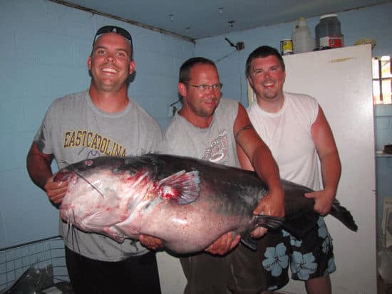 Richard Anderson's world-record blue catfish ©Photo by Dallas Weston