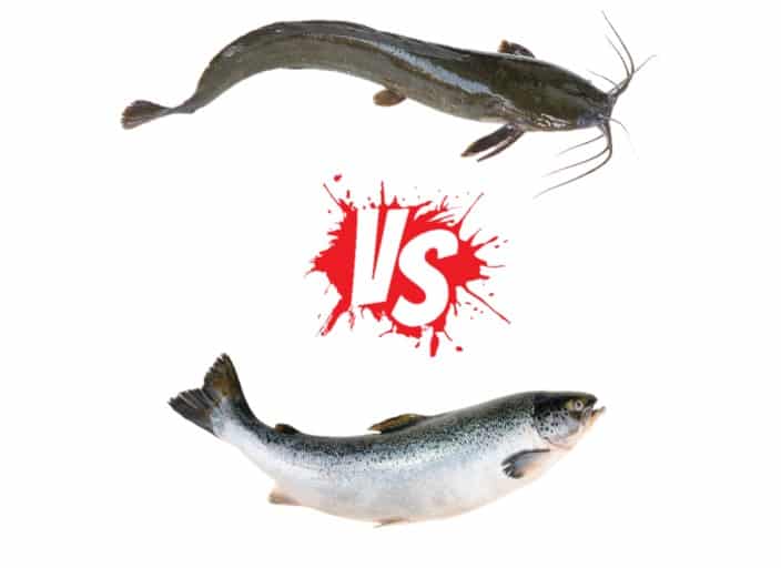 Catfish vs. Salmon: A Nutrition Comparison