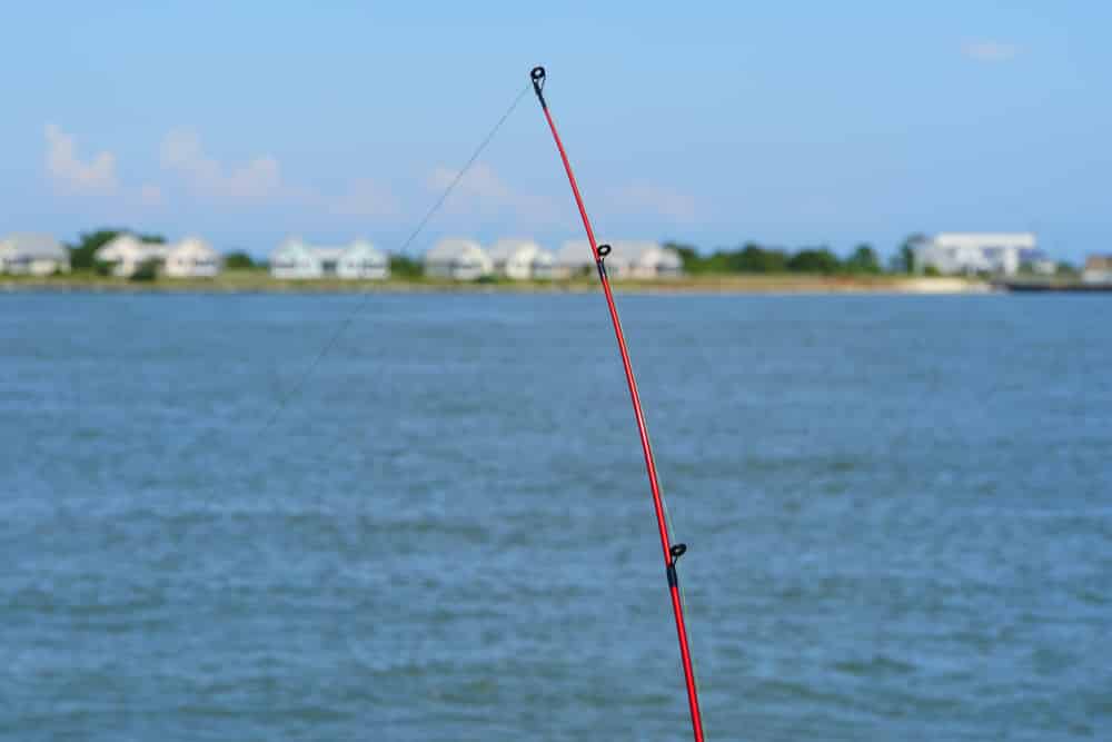 Tight Line Fishing For Catfish
