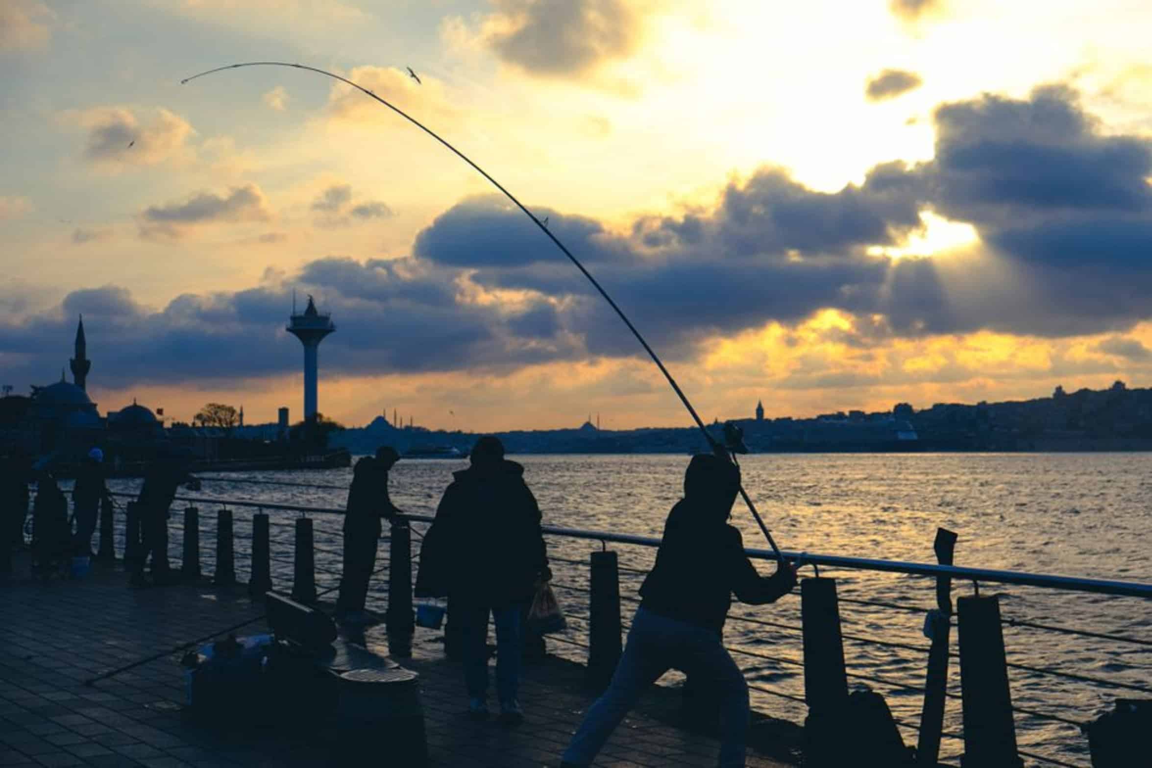 broken fishing rod broken fishing rod