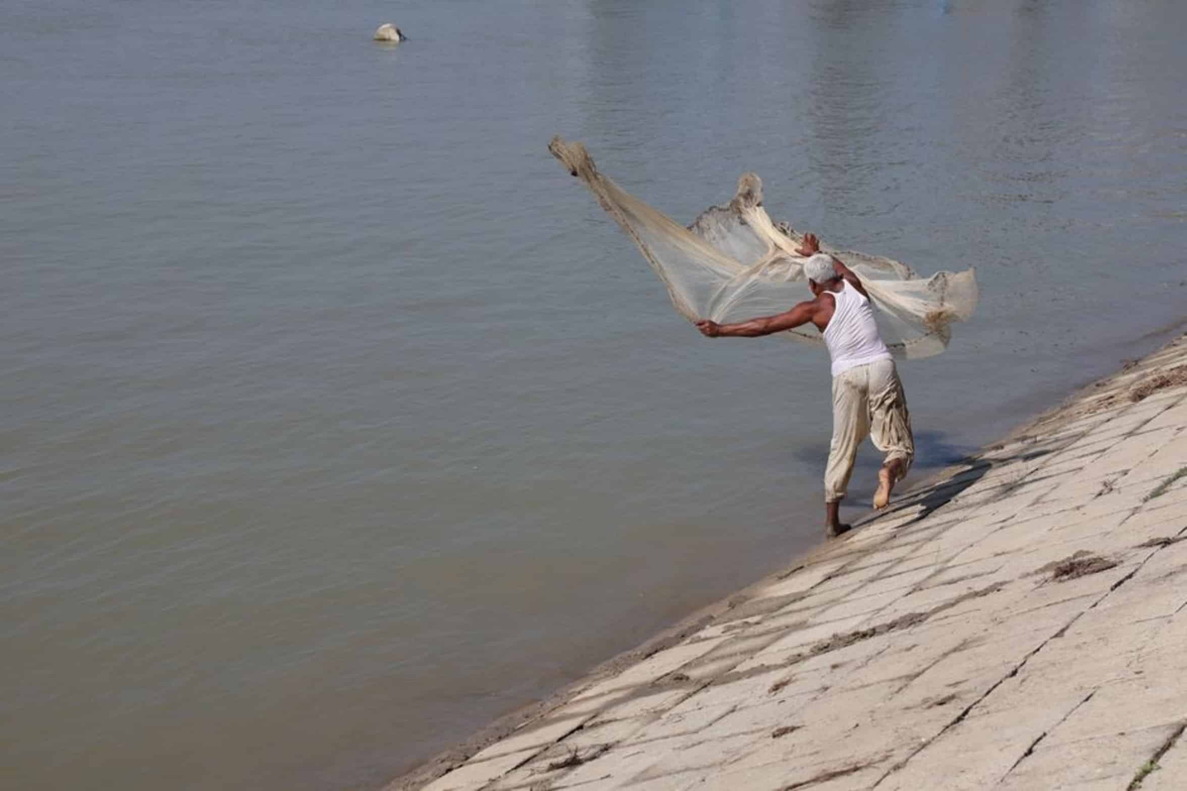 catfish trap river bottom catfish trap river bottom