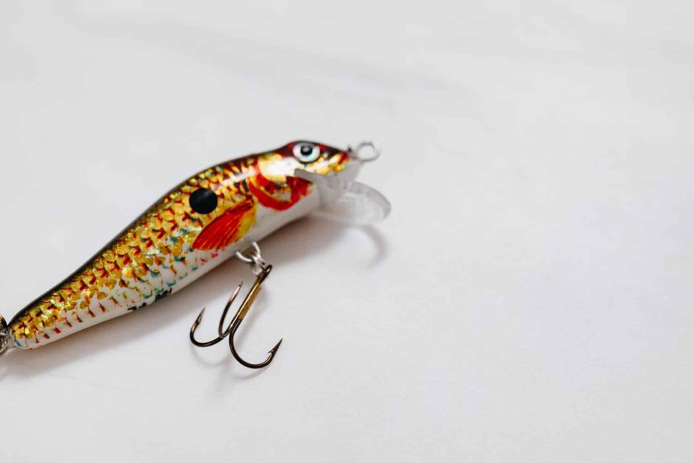 circle hooks circle hooks