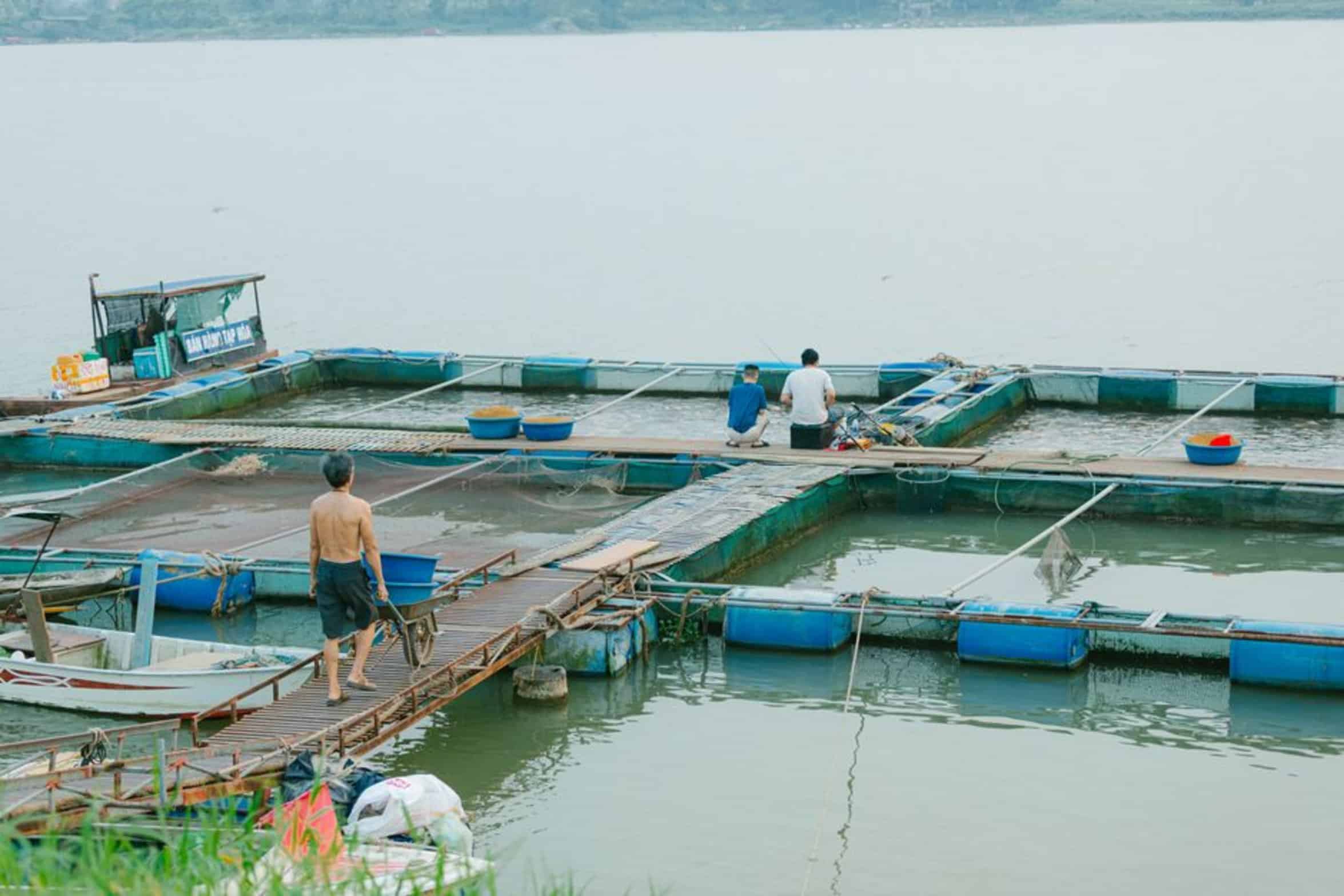fish farm pond fish farm pond