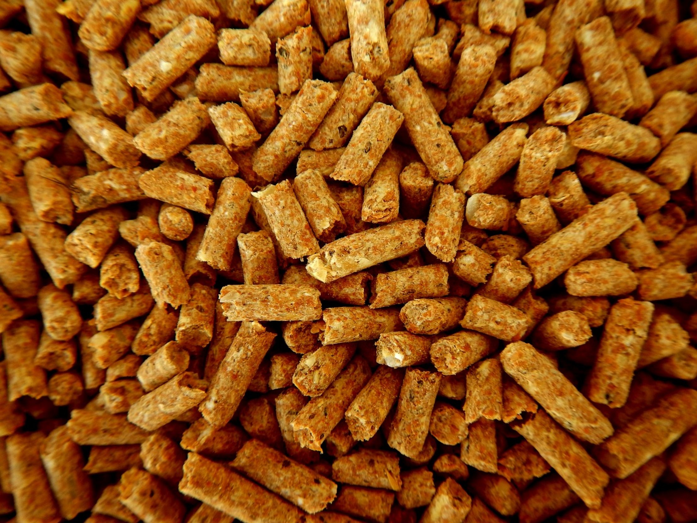 fish feed pellets fish feed pellets