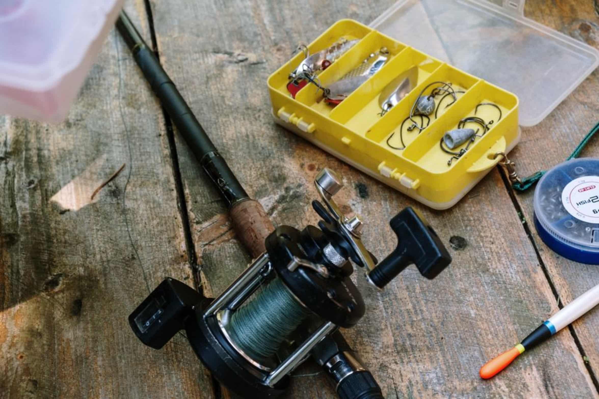 fishing reel side view fishing reel side view