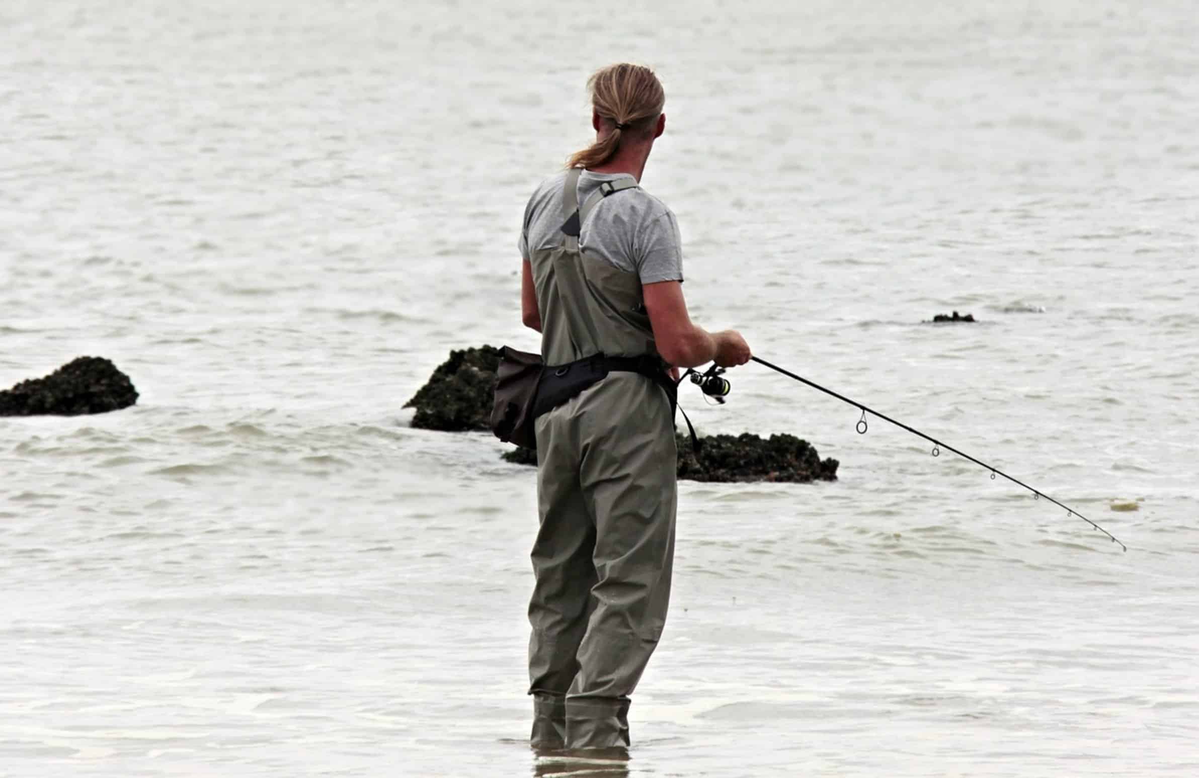 fishing rod blank fishing rod blank