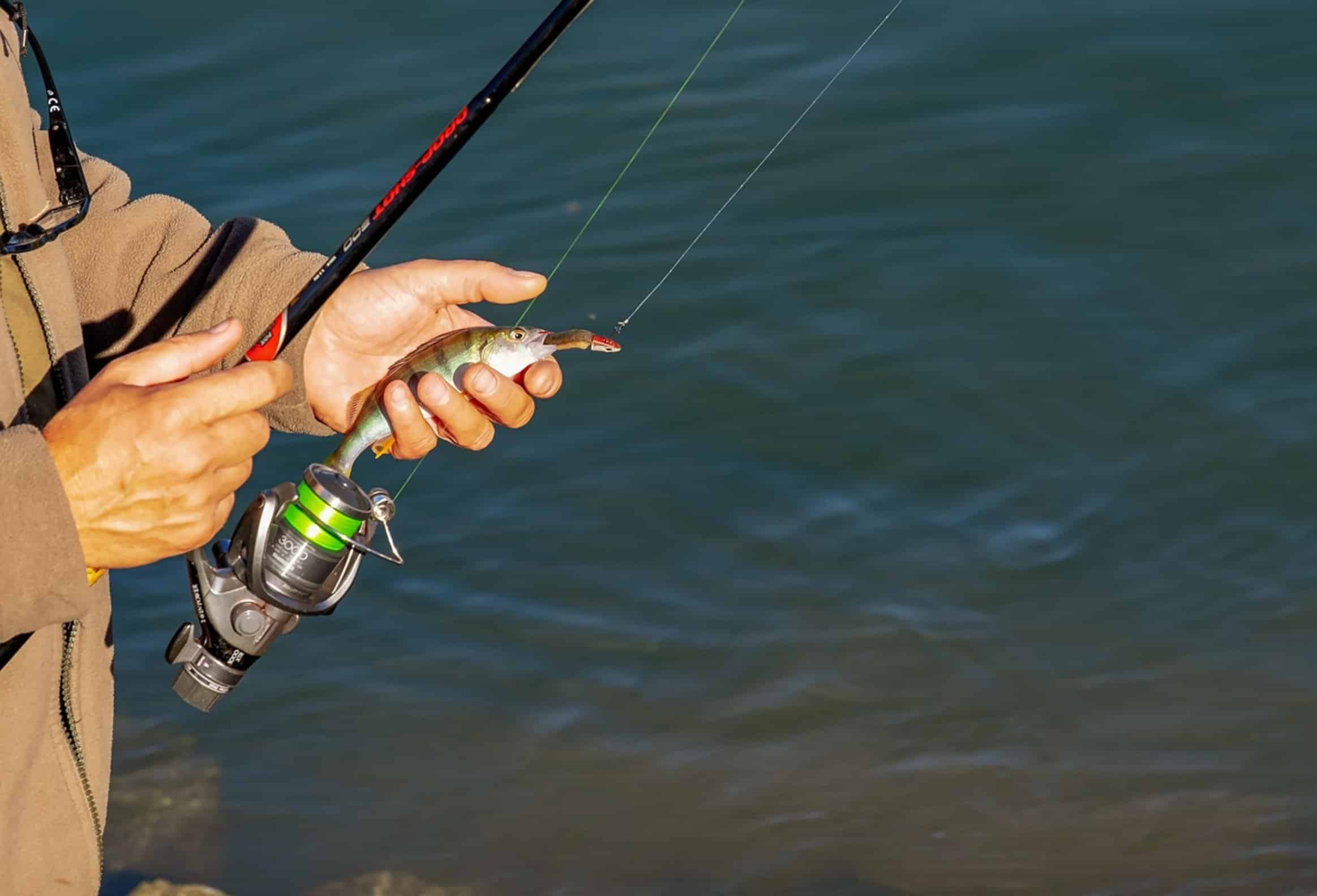 fishing rod reel seat fishing rod reel seat