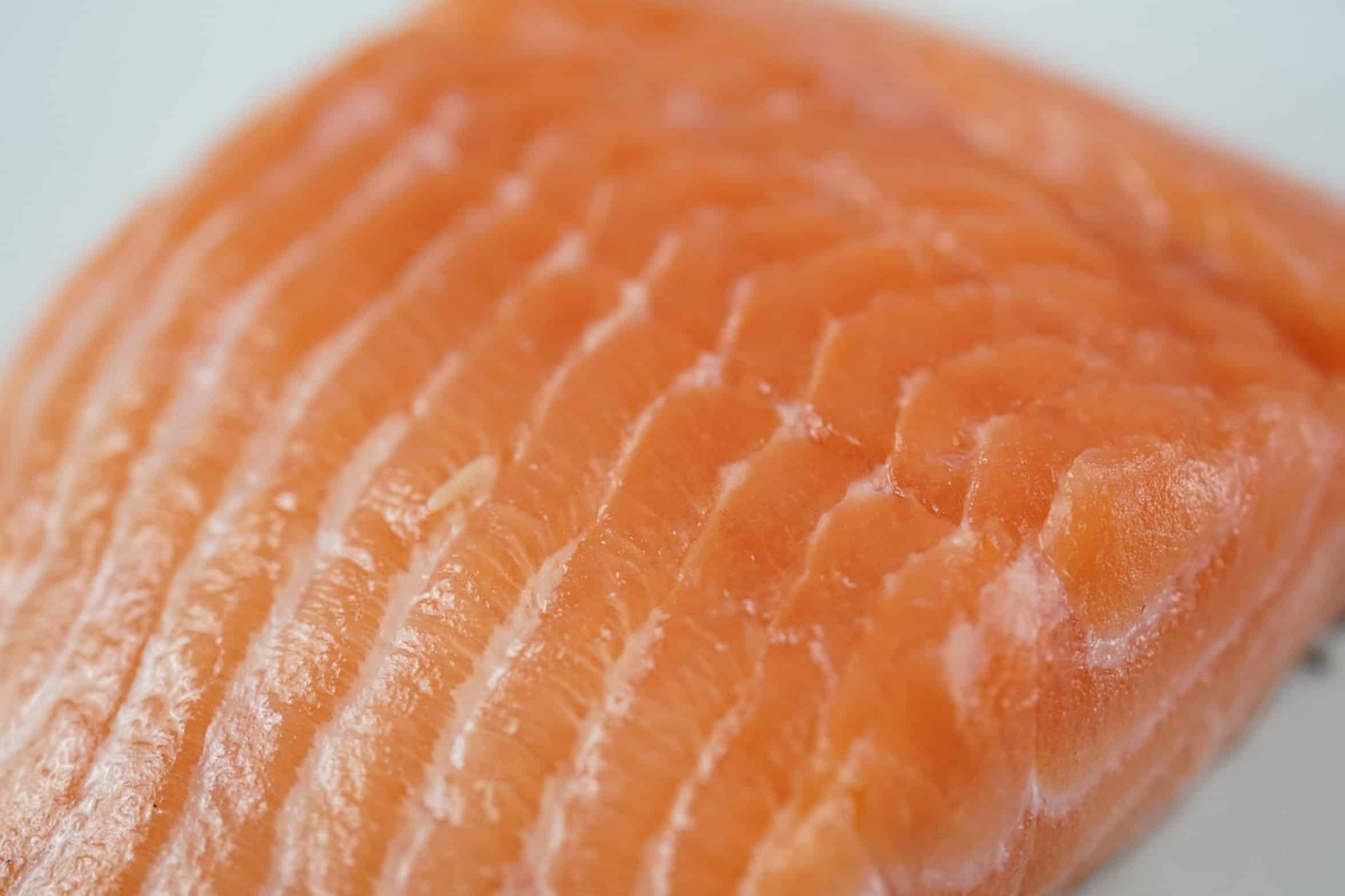 fresh catfish fillet fresh catfish fillet