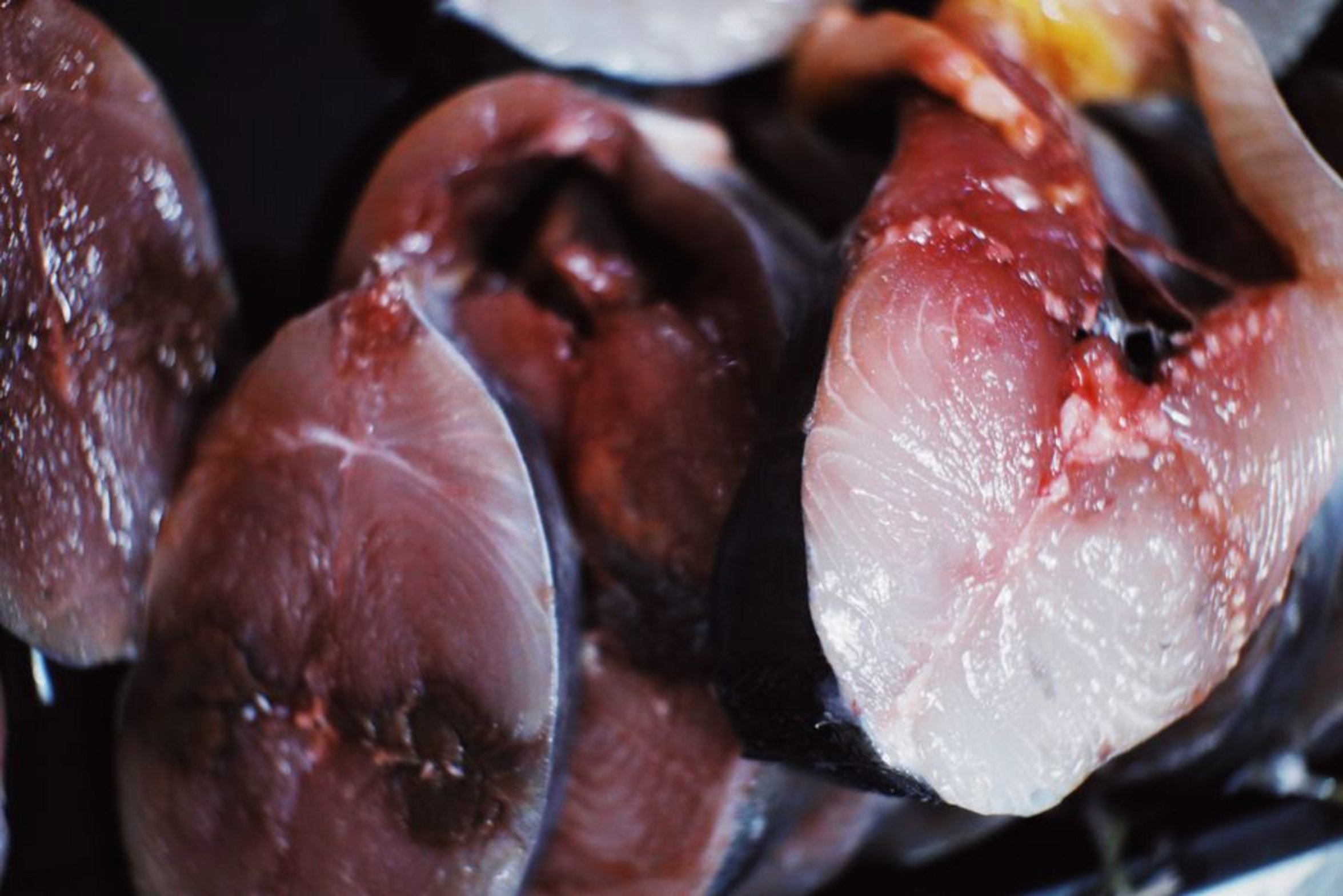 fresh raw catfish fillets fresh raw catfish fillets