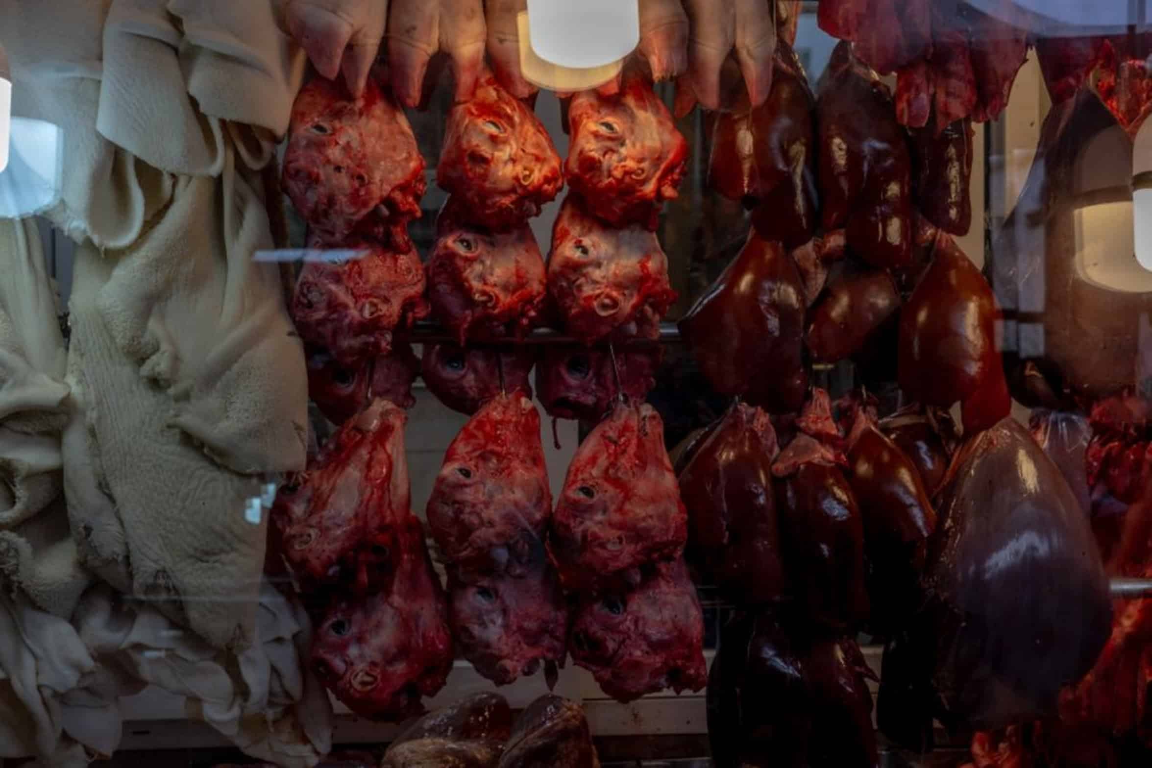 raw beef liver butcher raw beef liver butcher