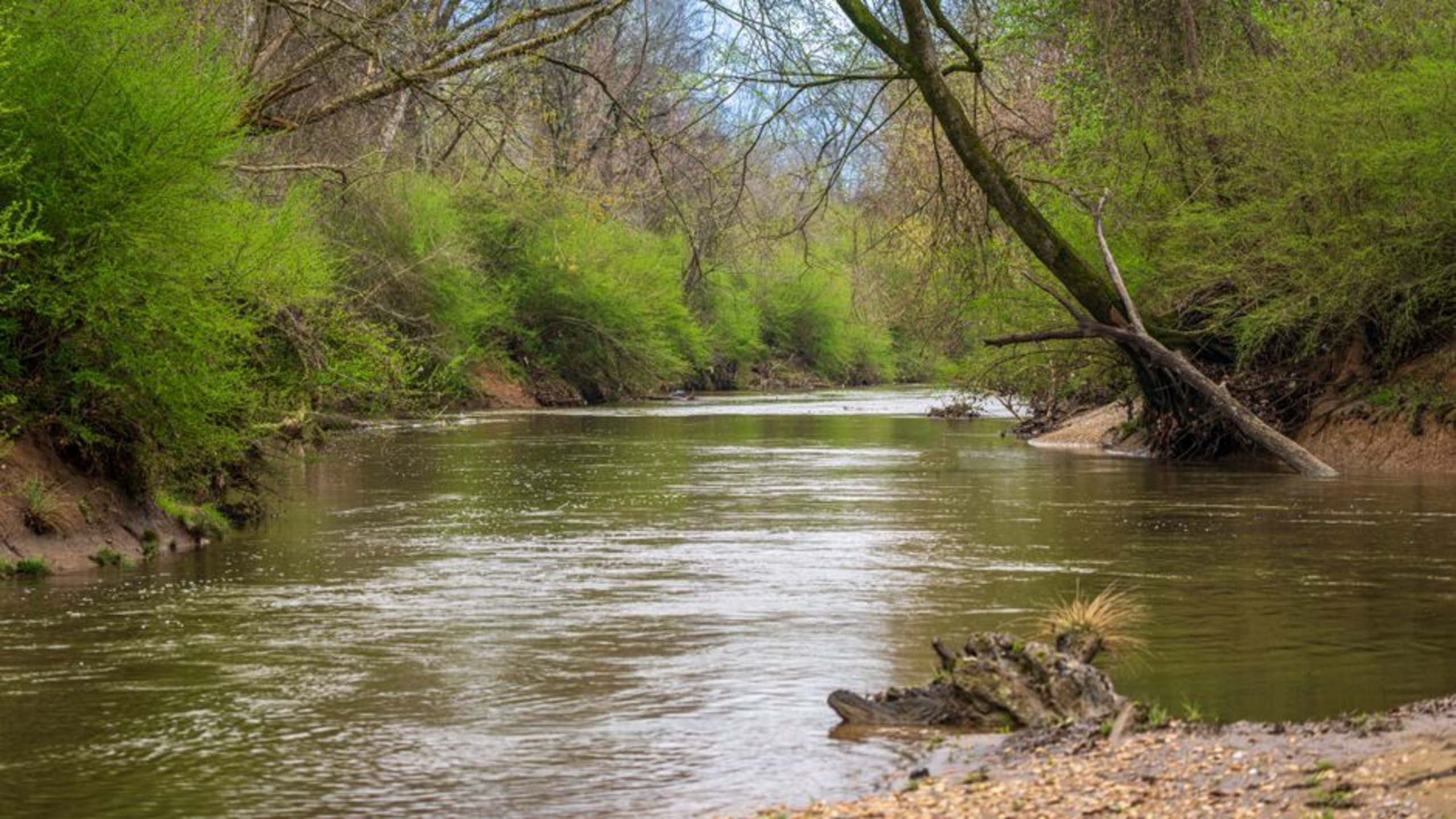 river bank underwater river bank underwater